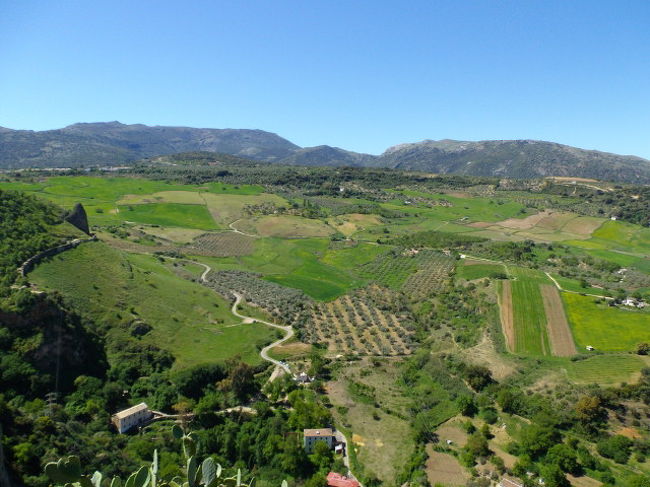 公園の展望台からの眺め