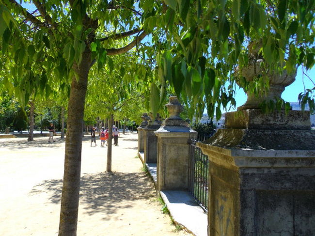 アラメダ・タホ公園内