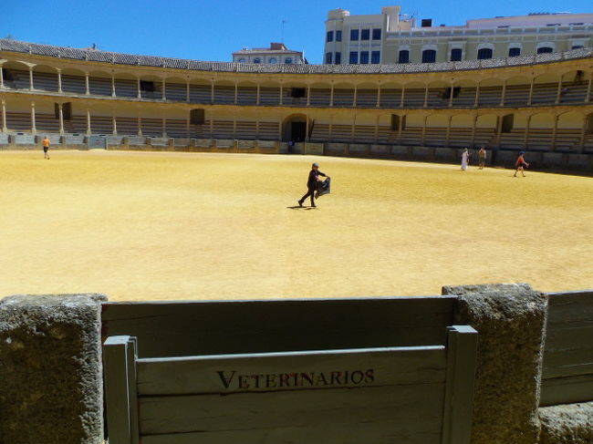 観覧席から場内