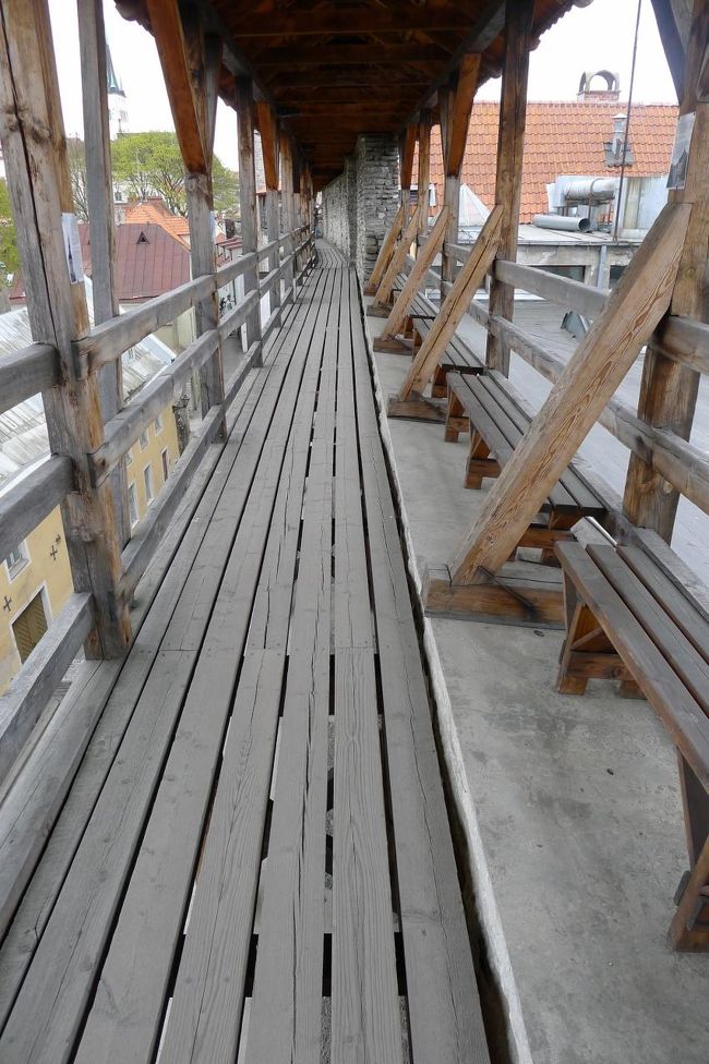 木の通路がなんとなく心もとない気もするが、ここからの景色のよさに、足元のことはすぐに慣れた感じ。