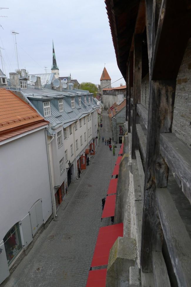 赤いテントの屋根がセーター屋さん。