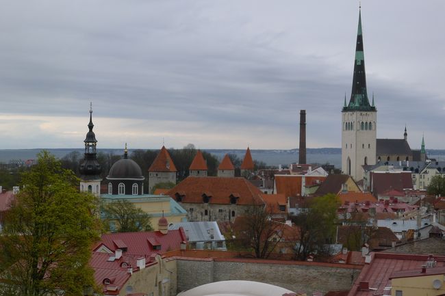 カフェの窓から道を行き交う人をボーっと眺めていたら、ラトビアへと移動する時間が近づいてきた。<br /><br />タリンとはもうそろそろお別れなので、最後にもう一度、高台まで行ってこの辺りの景色の見納めをしよう。<br /><br />気が付けば、コンパクトなタリンの旧市街を行ったり来たりしていたが、見どころも多く、街中もキレイでとっても良かった。