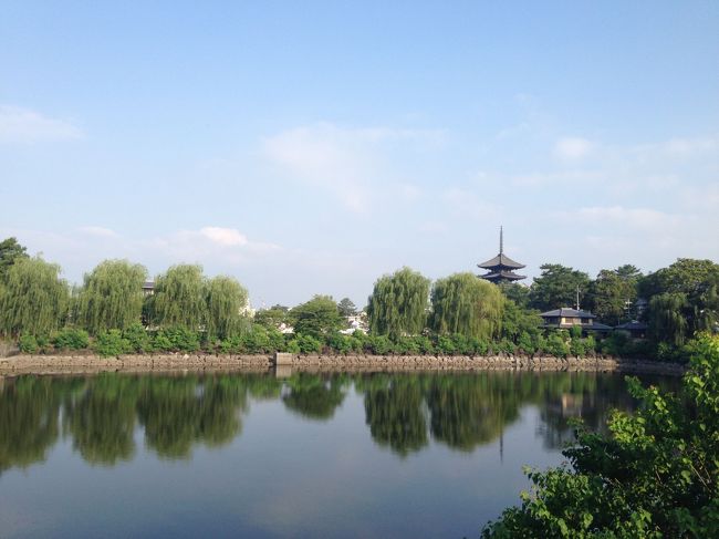 荒池から眺めた、興福寺五重塔。<br />歩道上に撮影スポットがありました。<br />いかにも奈良、という景色です。