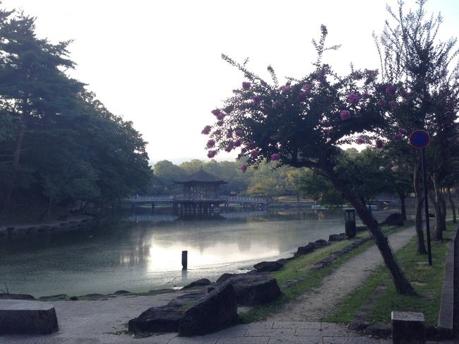 歩いて、５分もかからないところに、鷺池があります。