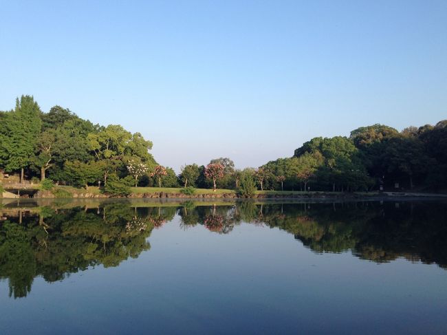 浮見堂傍から眺めた鷺池。<br />サルスベリが池に映えます。<br />