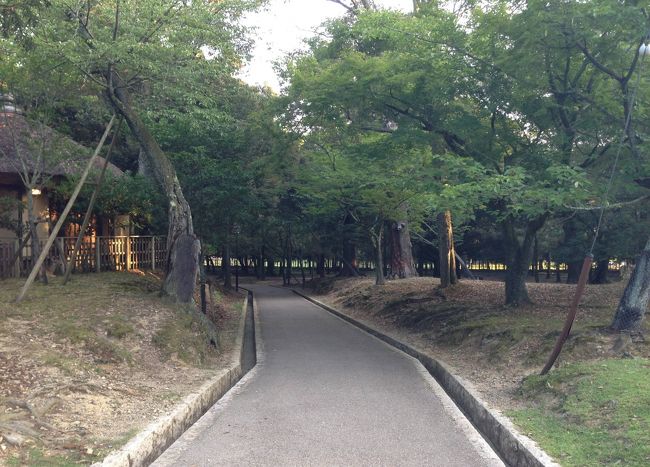 公園の中を歩き始めます。