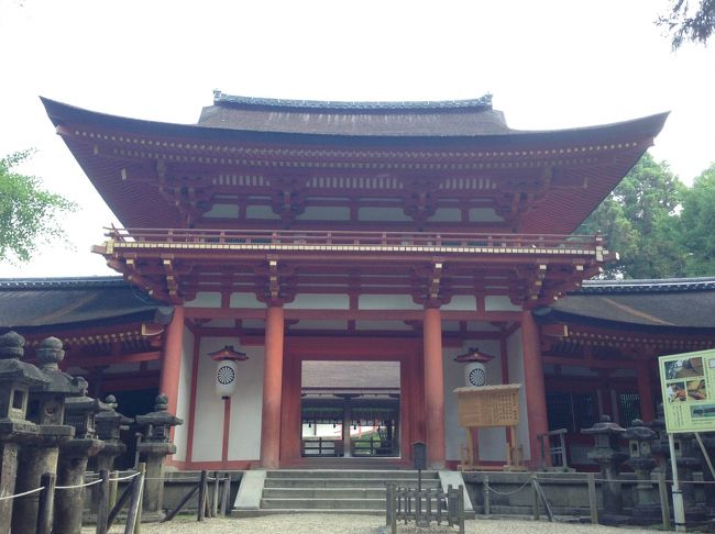 春日大社。ここから入り、お参りします。<br />朝行をする方々の、かけ声が響きます。<br />朝とはいえ、人が途切れることは、ありませんでした。