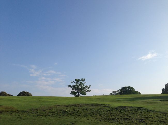 春日大社からの帰り道。少し寄り道して、飛火野へ。<br />奈良とは想像し難い、雄大な景色が広がっていました。