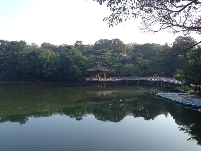 再び鷺池を通り、戻ります。