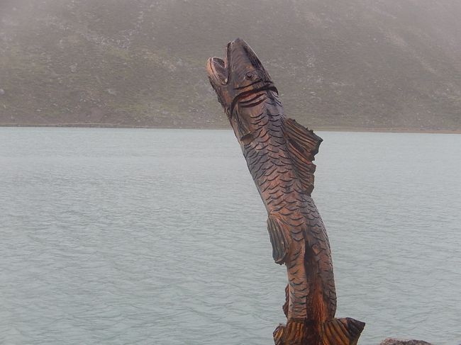 リッフェルゼーの湖畔にある木彫りの魚