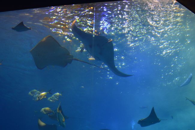 外の光がキラキラです。