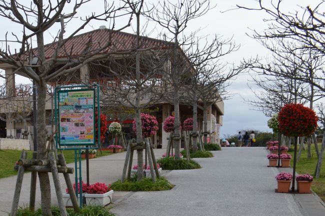 きれいに整備されています。