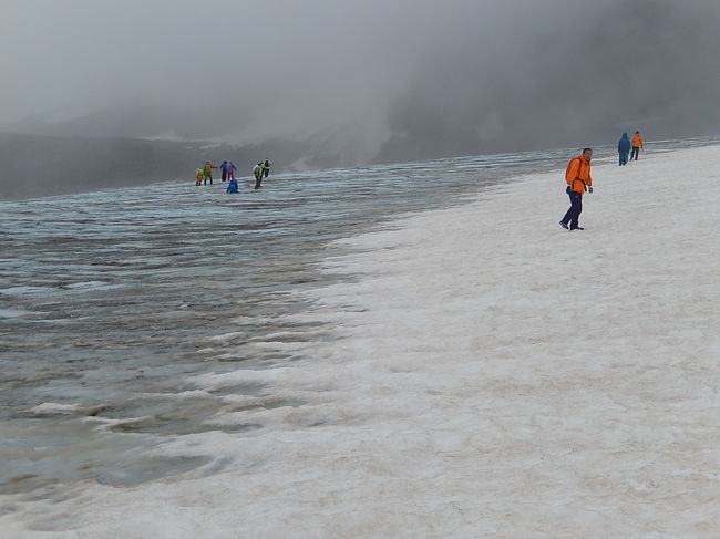 午前10時9分氷河ハイキングを開始する。<br />氷河ハイキングをする前に聞いていたのはアイゼンを付けなくて渡れるということで安易に考えていた。<br /><br />最初は氷河の上に降り積もった積雪地帯を歩くことができたたが、<br />次第に無くなり、正に氷河の上を歩くことになった。<br /><br />アイゼンなしでストックを頼りに恐る恐る進んでいくが、何回も滑ったり、転んだりして負傷するはめになった。