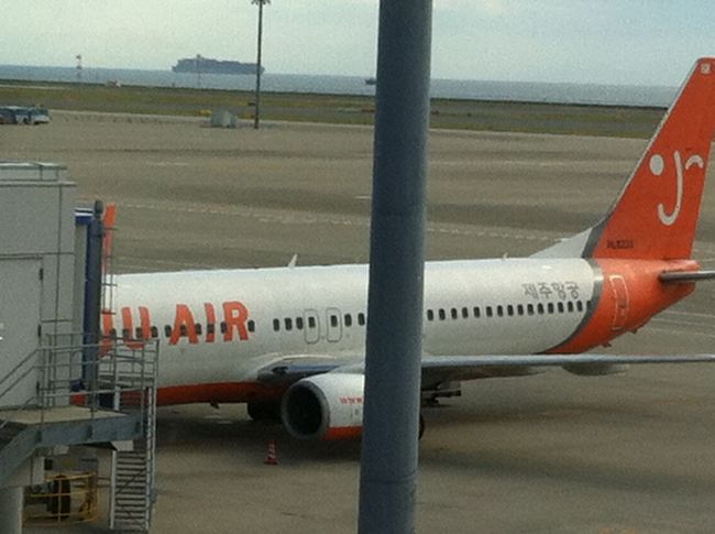 オレンジが美しい