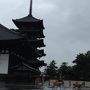 台風接近でしたが。奈良。