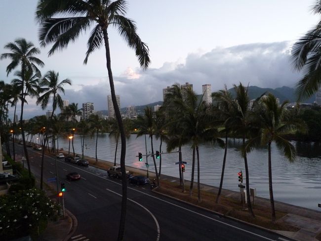 おはようございます。アラワイ運河を眺めて一日のスタートです。山の方は毎日分厚い雲がかかってました。