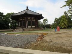 １７時半頃、奈良駅に到着です。

燈花会の点火は、１９時なので、ゆっくり歩きながら、準備を見ながら、今日の回り方を考えることにしましょう(^_^)v

近鉄奈良駅では、燈花会のマップを配ってくれていますので、行かれる方はもらって下さいね！

興福寺を通っていきます！北円堂の横を通って・・・