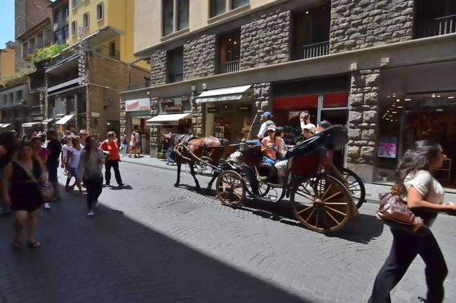 街のあちこちで馬車を見かけます。<br /><br />馬車乗り場で見かけた馬は、皆おとなしく、よい子ばかりでした。<br /><br />馬君、暑い中ご苦労様です。