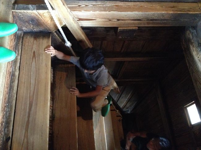 写真でも急な階段の理解が出来ますか ?