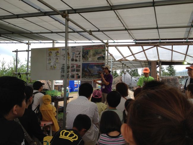 職員の方から、化石発見方法と注意などの説明中です。