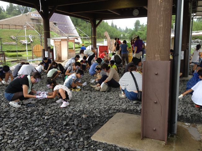 本来化石が度々発見されている所から運んできた砕石をタガネとハンマー使って割って探します。