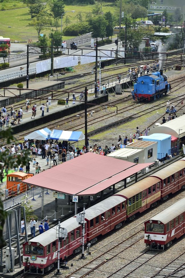 鉄道風景写真シリーズ 第5弾 ”大井川沿線を走る大井川鐵道、期間限定の