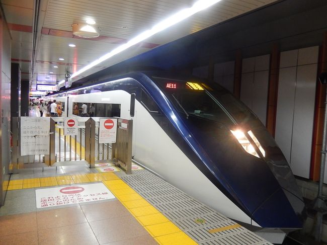 スカイライナーが見られる