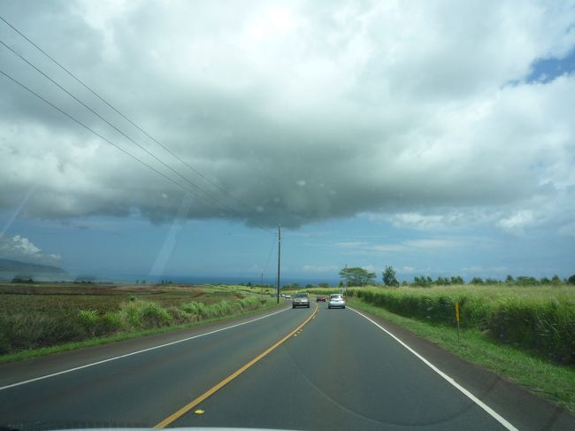ポツポツ雨降ったり