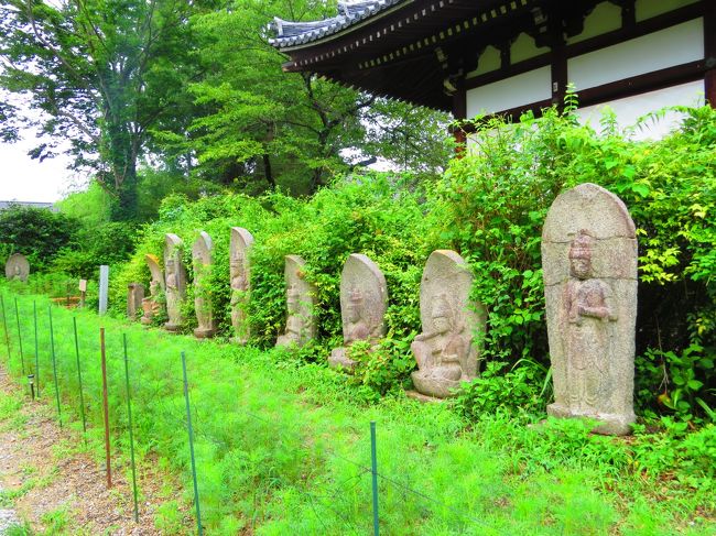 般若寺境内・西国三十三ヶ所観音石像<br /><br />境内は他の寺に比べたら綺麗とは思いません<br /><br />三年前に来た時と変わりません