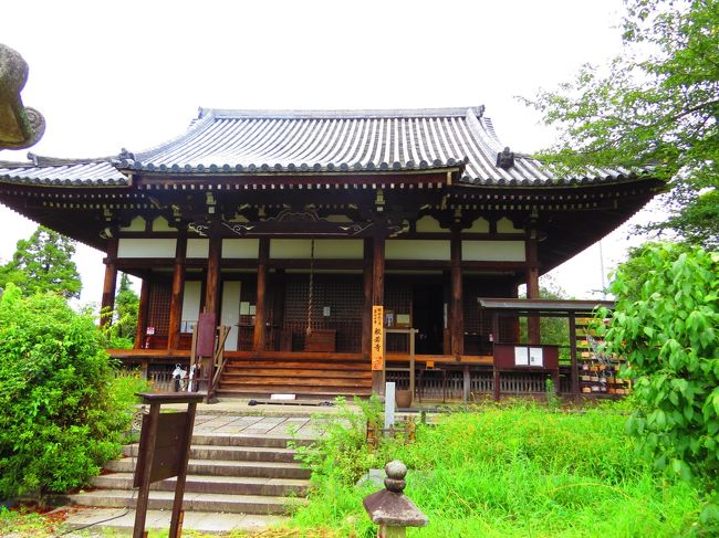 般若寺・本堂<br /><br />飛鳥時代高句麗僧・慧潅法師（えかんほうし）によって開かれる<br /><br />聖武天皇が平城京の鬼門を守るため「大般若経」を基壇に納め塔を<br />建てられたのが寺名の起こり<br /><br />平安のころは学問寺として千人の学僧を集め栄える<br /><br />平家の南都攻めにあい伽藍は灰燼に帰した<br /><br /><br />