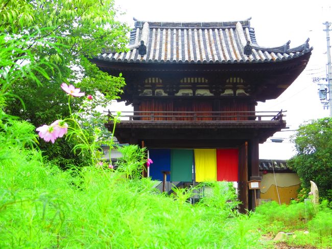 般若寺・楼門　（国宝）鎌倉時代<br /><br />鎌倉再興伽藍の回廊門<br />楼門遺構では日本最古の作例<br /><br />コスモスの花が咲いてたら綺麗だろうな