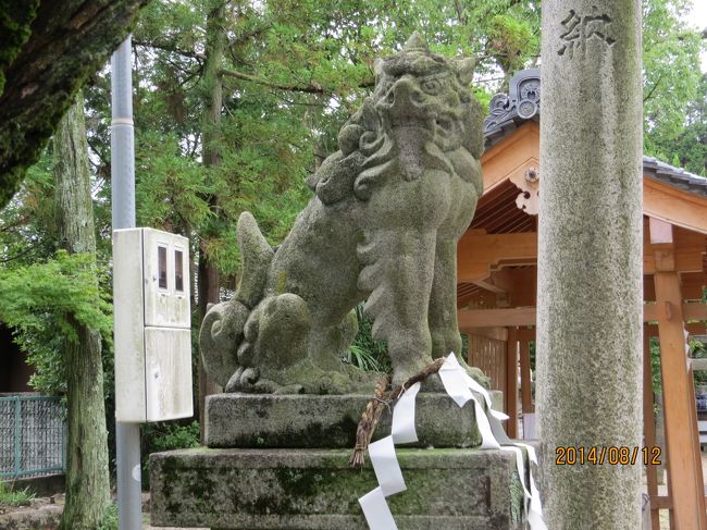 狛犬　（吽形）<br /><br />両方、見事立派です