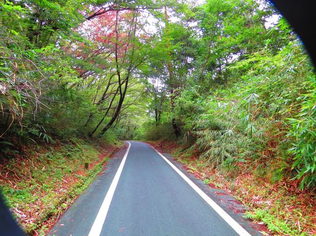 奈良山から佐保山へ奈良西ノ京斑鳩自転車道を走り<br /><br />飛鳥時代の古代天皇陵へ（元明・元正天皇陵）向かいます
