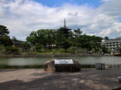 １年ぶりに聖地にやってきました。

ここは、興福寺の放生池「猿沢池」
奥に見えている塔は、興福寺の五重塔です。