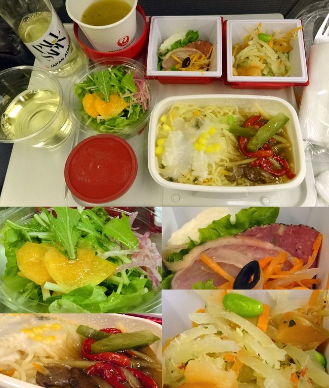 ８月５日（火）<br />成田空港、夏休みお盆前ですが、さほどの混雑もなく、搭乗カウンターへ。<br />JL751成田18：10発　ハノイ22：00着で、ハノイに向けて出発。<br />今回の機内食はこんな感じ。