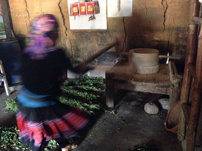 コーンからワインを作っている村の見学へ