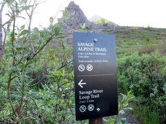 サベージ川ループ・トレイル（Savage River Loop Trail）をハイキングします。