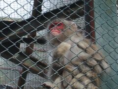 小田原城天守を見上げ何を思う。猿よ！

ってそんな堅苦しい事ではないと思います。
