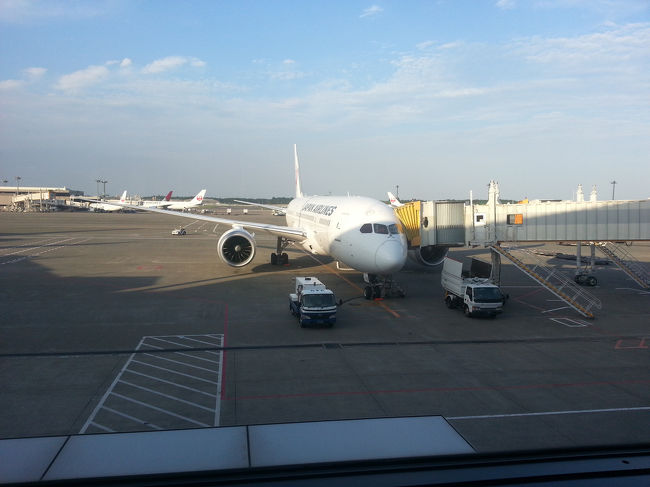 初のB787これで行きます。<br />嬉しいようなちと恐いような！