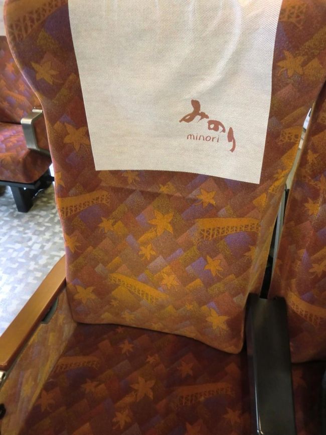 車内です。<br />紅葉をイメージした、シート。