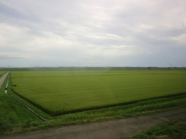 ひたすら田んぼが続いていきます。<br />緑の海。<br /><br />途中、しらさぎ？が飛んでいました。