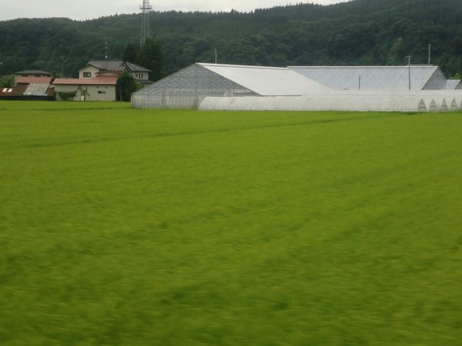 どんどん田んぼの中を進んでいきますー。