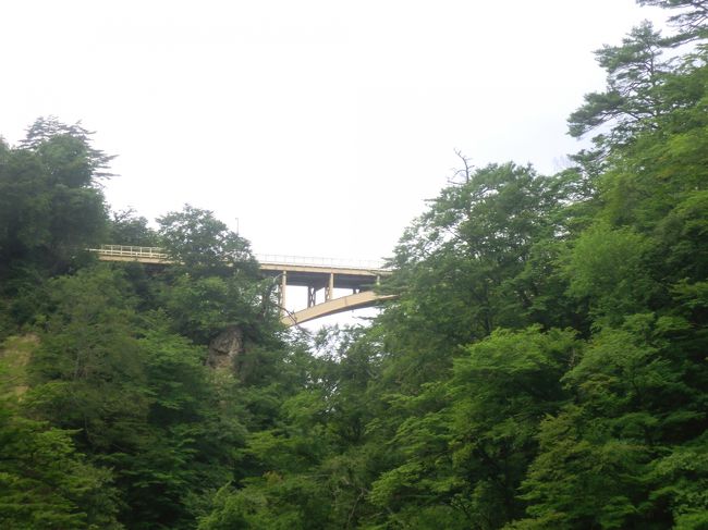 緑もまたいいですね。