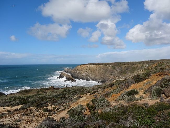 この辺りの海岸は断崖です。