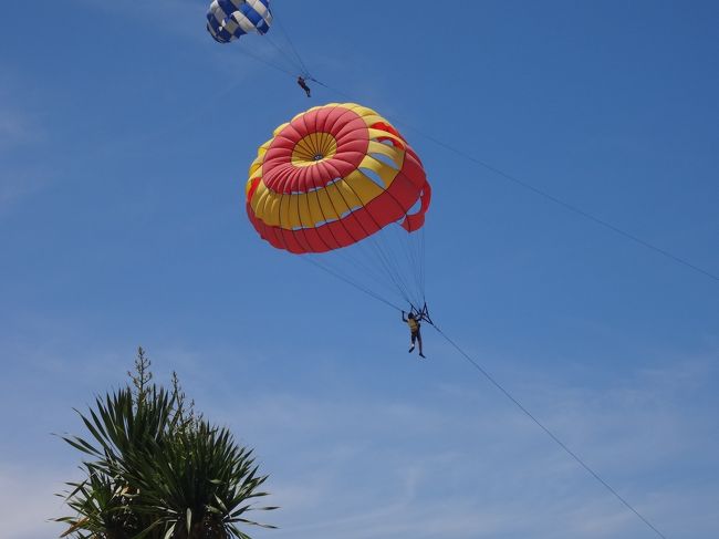 午後はサヌールのほうに、シュノーケリング＆パラグライダー＆フライフィッシュをしに行きました。<br />海を満喫です。<br />シュノーケリングはすごい魚がいっぱい見れました！<br />