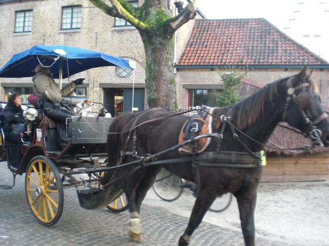 馬車にジャックラッセルテリアが乗っています。