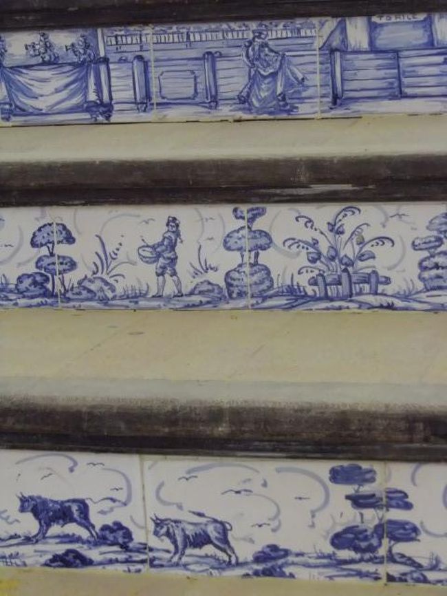 階段の模様<br />きれいでした