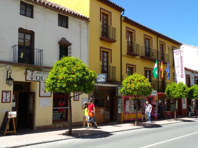 街路樹はオレンジの木