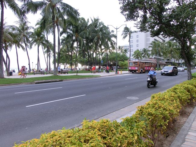 　明日には帰るのかと感傷に浸りつつ、散歩です。