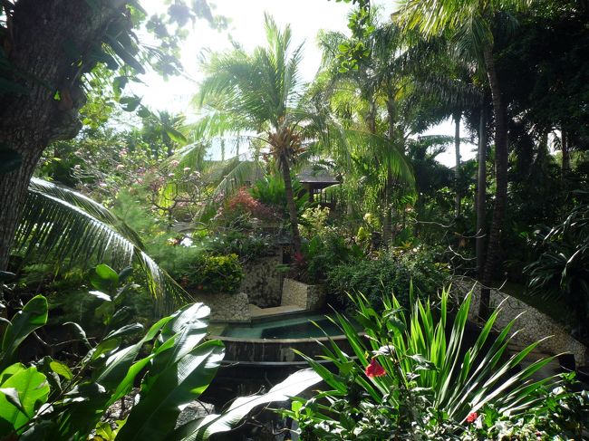 緑の中の朝のきりっとした空気が気持ちいい。<br /><br />熱帯植物園みたい。<br />